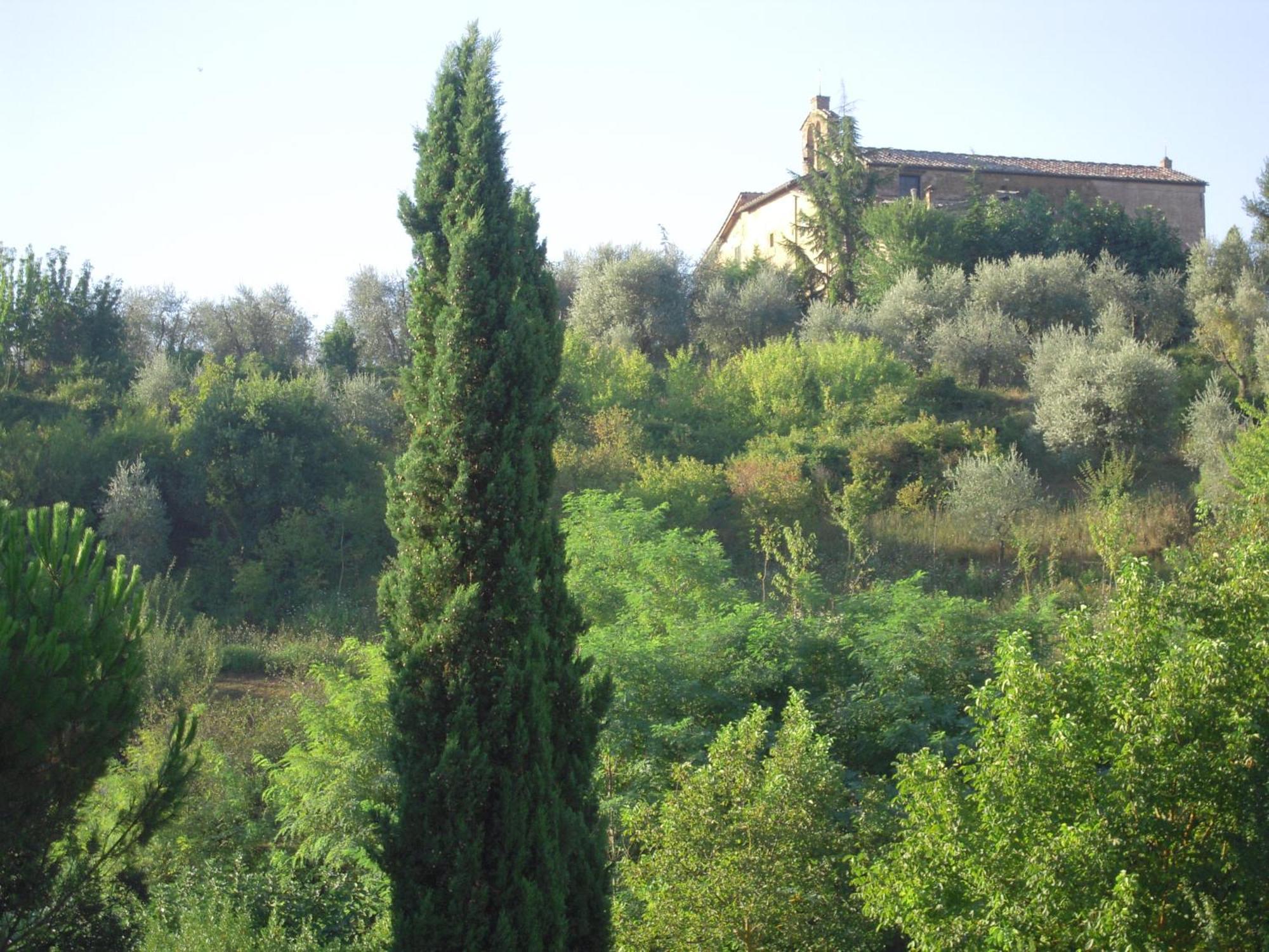 Villa Caprera Siena Pokoj fotografie