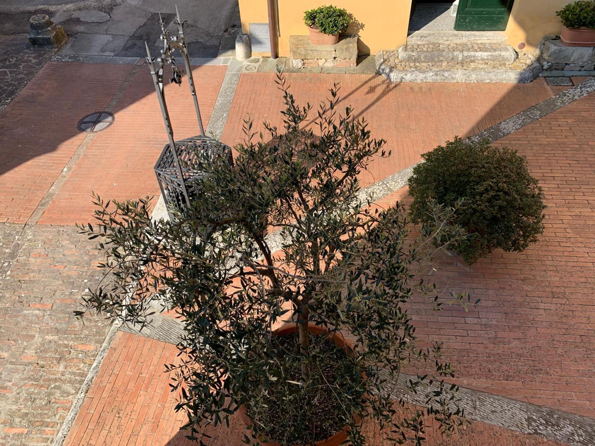 Villa Caprera Siena Pokoj fotografie